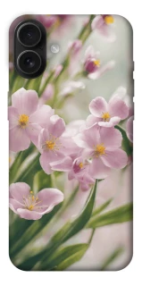 Чохол на Apple iPhone 16 Plus Spring фото 1 з 1