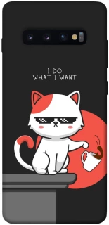 Чохол на Samsung Galaxy S10+ I do what i wont фото 1 з 1