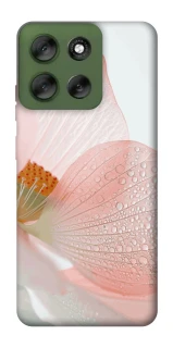 Чохол на Motorola Moto G56 5G Flowers zon фото 1 Чохол на Motorola Moto G56 5G Flowers zon фото 1 з 1