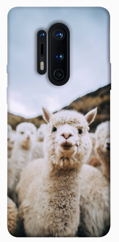 Чехол на OnePlus 8 Pro Лама фото 1 из 1