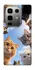 Чохол на Infinix Note 50 Pro Cats фото 1 з 1