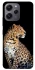 Чехол на Xiaomi Redmi 12 Leopard v2 фото 1 из 1