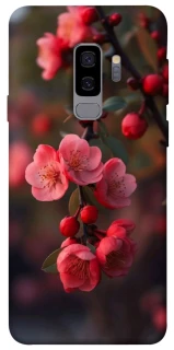 Чехол на Samsung Galaxy S9+ Flowers v28 фото 1 из 1