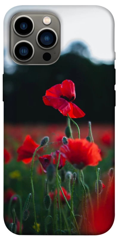 Чехол на Apple iPhone 12 Pro Max (6.7") Мак фото 1 из 1