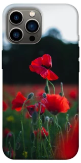 Чехол на Apple iPhone 12 Pro Max (6.7") Мак фото 1 из 1