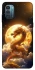 Чехол на Nokia G21 Golden Dragon фото 1 из 1