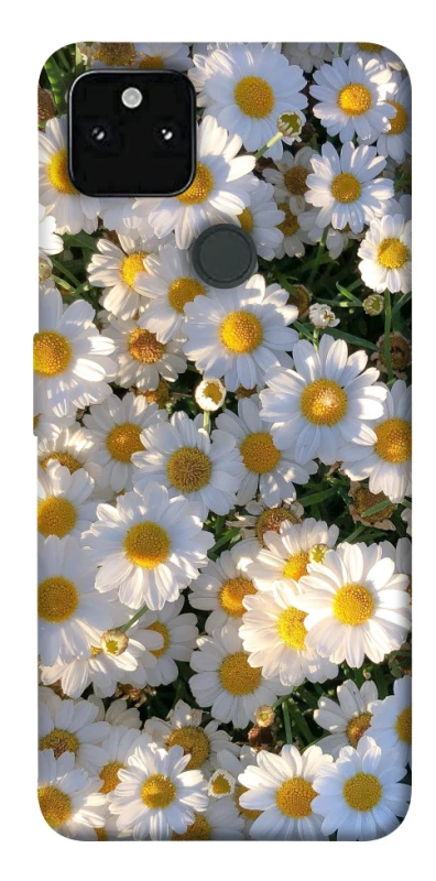 Чохол на Google Pixel 5A Поле ромашок фото 1 з 1