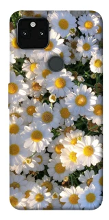 Чохол на Google Pixel 5A Поле ромашок фото 1 з 1