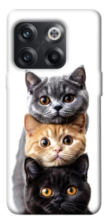 Чохол на OnePlus 10T Гарні котики фото 1 з 1