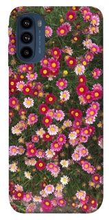 Чохол на Motorola Moto G41 Flowers v8 фото 1 з 1