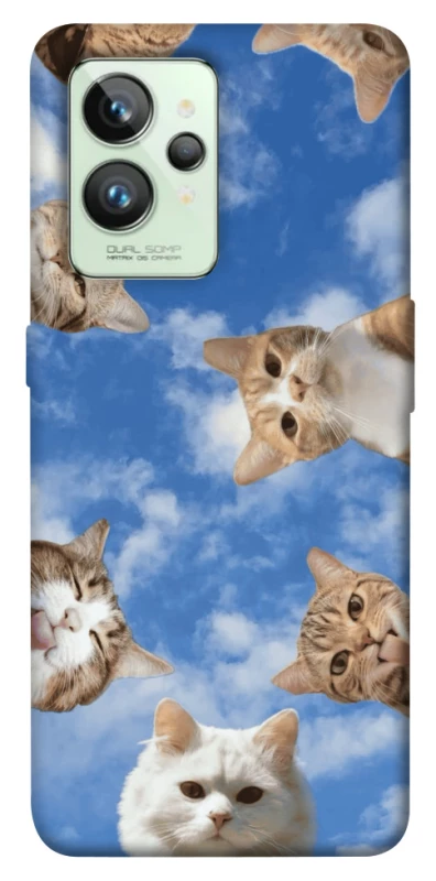 Чехол на Realme GT2 Сats фото 1 из 1