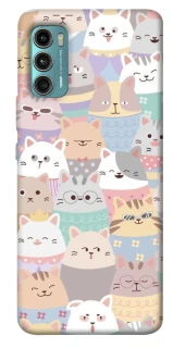 Чохол на Motorola Moto G60 Funny Kittens ver.2 фото 1 з 1