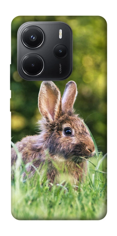 Чехол на Xiaomi Redmi Note 14 4G (Int. version) Кролики фото 1 из 1