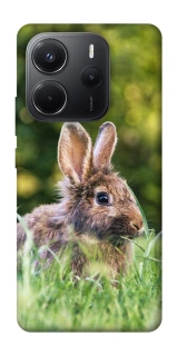 Чехол на Xiaomi Redmi Note 14 4G (Int. version) Кролики фото 1 из 1