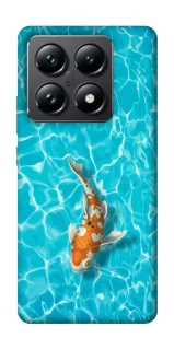 Чехол на Xiaomi 14T Pro Fish фото 1 из 1