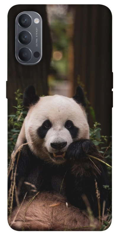 Чехол на Oppo Reno 4 Панда фото 1 из 1