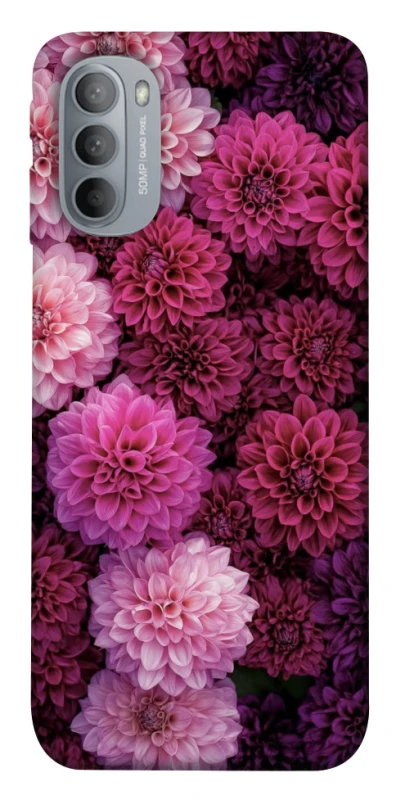 Чохол на Motorola Moto G31 Garden1 фото 1 з 1