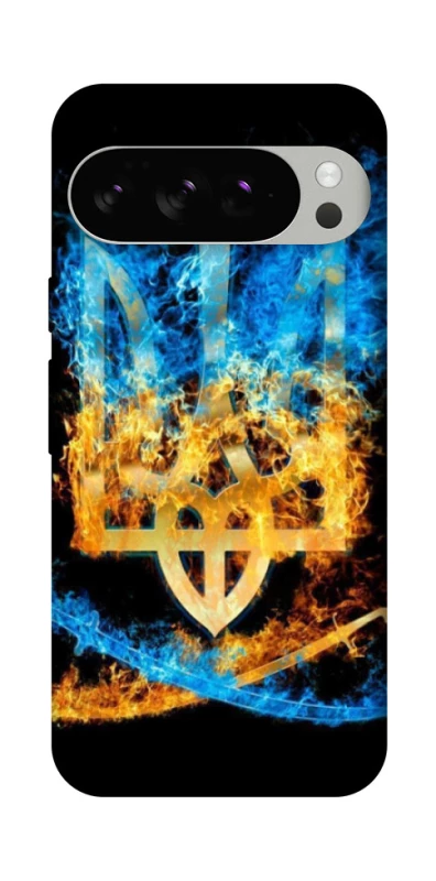 Чохол на Google Pixel 10 Pro Герб v16 фото 1 з 1