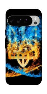 Чохол на Google Pixel 10 Pro Герб v16 фото 1 з 1