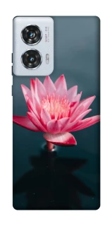 Чохол на Motorola Edge 50 Fusion Лотос фото 1 з 1