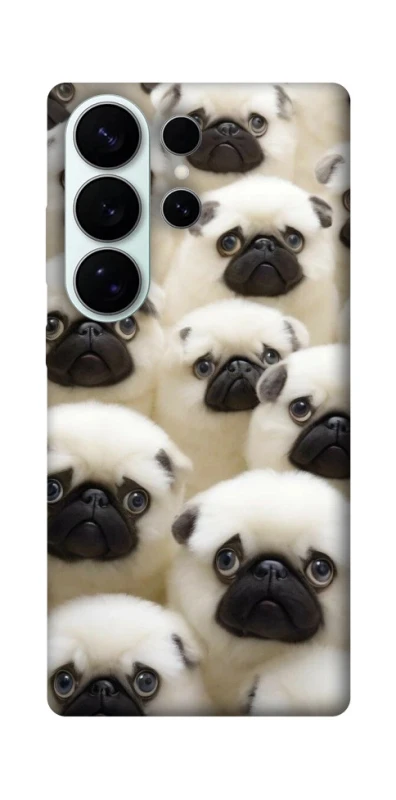 Чохол на Samsung Galaxy S26 Doggy Pug Love фото 1 з 1