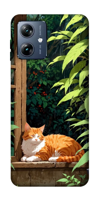 Чохол на Motorola Moto G54 Power red cat фото 1 з 1