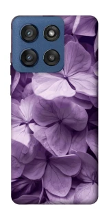 Чохол на Motorola Edge 60 Stylus Floral Symphony фото 1 з 1