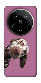 Чехол на Xiaomi 14 Ultra А что тут фото 1 из 1