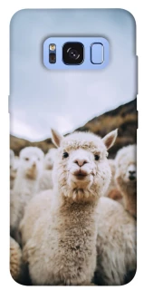 Чехол на Samsung G950 Galaxy S8 Лама фото 1 из 1