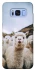 Чохол на Samsung G950 Galaxy S8 Лама фото 1 з 1