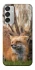 Чехол на Samsung Galaxy M15 5G Лиса фото 1 из 1