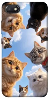 Чехол на Xiaomi Redmi 6A Cats фото 1 из 1