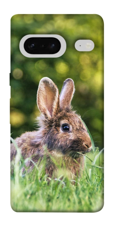 Чехол на Google Pixel 7 Кролики фото 1 из 1