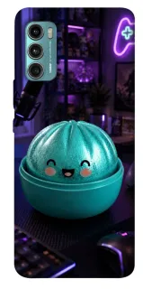Чехол на Motorola Moto G60 Dumpling ver.10 фото 1 из 1