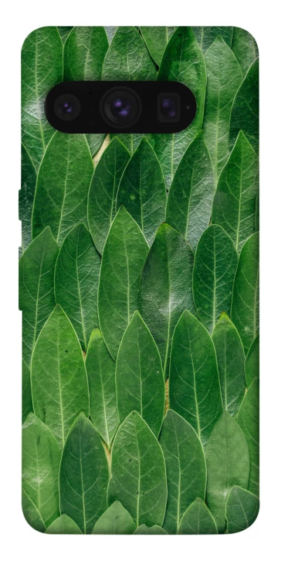 Чохол на Google Pixel 8 Pro Листя фото 1 з 1