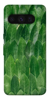 Чохол на Google Pixel 8 Pro Листя фото 1 з 1