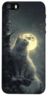 Чохол на Apple iPhone 5/5S/SE Кіт під місяцем фото 1 з 1