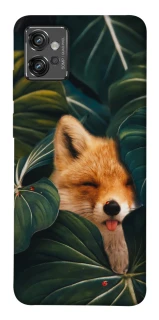 Чехол на Motorola Moto G32 Fox фото 1 из 1