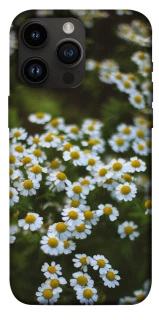 Чехол на Apple iPhone 14 Pro Max (6.7") Ромашки v13 фото 1 из 1