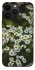 Чохол на Apple iPhone 14 Pro Max (6.7") Ромашки v13 фото 1 з 1
