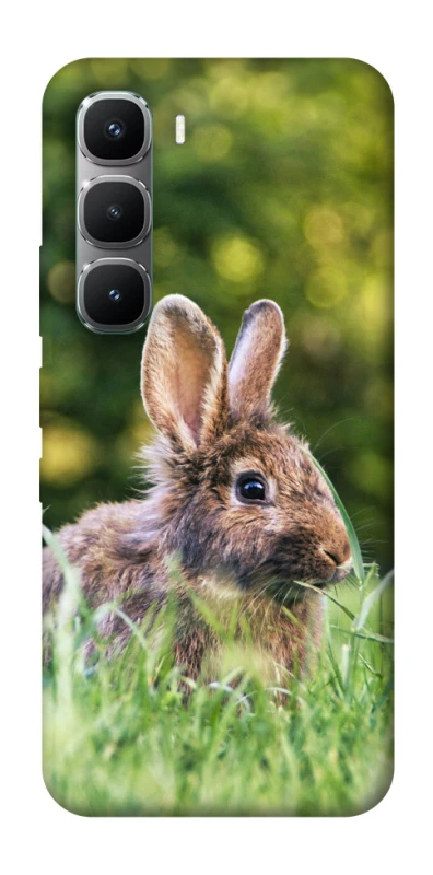 Чохол на Infinix Hot 60 Pro Кролики фото 1 з 1