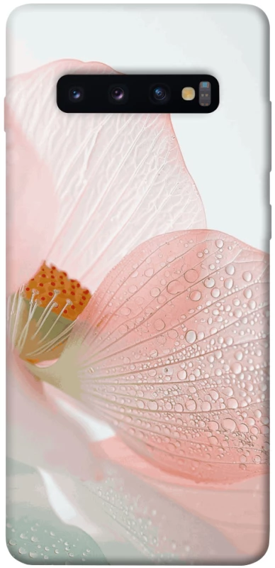 Чохол на Samsung Galaxy S10+ Flowers zon фото 1 з 1