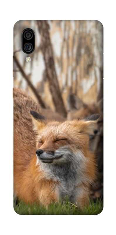 Чохол на ZTE Blade A5 (2020) Лисиця фото 1 з 1