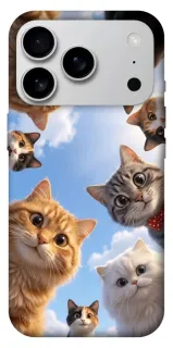 Чехол на Apple iPhone 18 Pro Max Cats фото 1 из 1