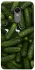 Чехол на Xiaomi Redmi 5 Plus / Redmi Note 5 (Single Camera) Cucumber фото 1 из 1