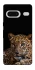 Чехол на Google Pixel 7 Leopard v4 фото 1 из 1