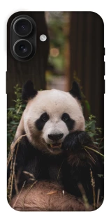 Чехол на Apple iPhone 16 Plus Панда фото 1 из 1