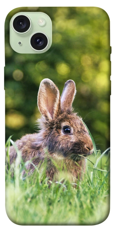 Чехол на Apple iPhone 15 Plus (6.7") Кролики фото 1 из 1