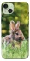 Чехол на Apple iPhone 15 Plus (6.7") Кролики фото 1 из 1