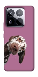 Чехол на Xiaomi 15 Pro А что тут фото 1 из 1